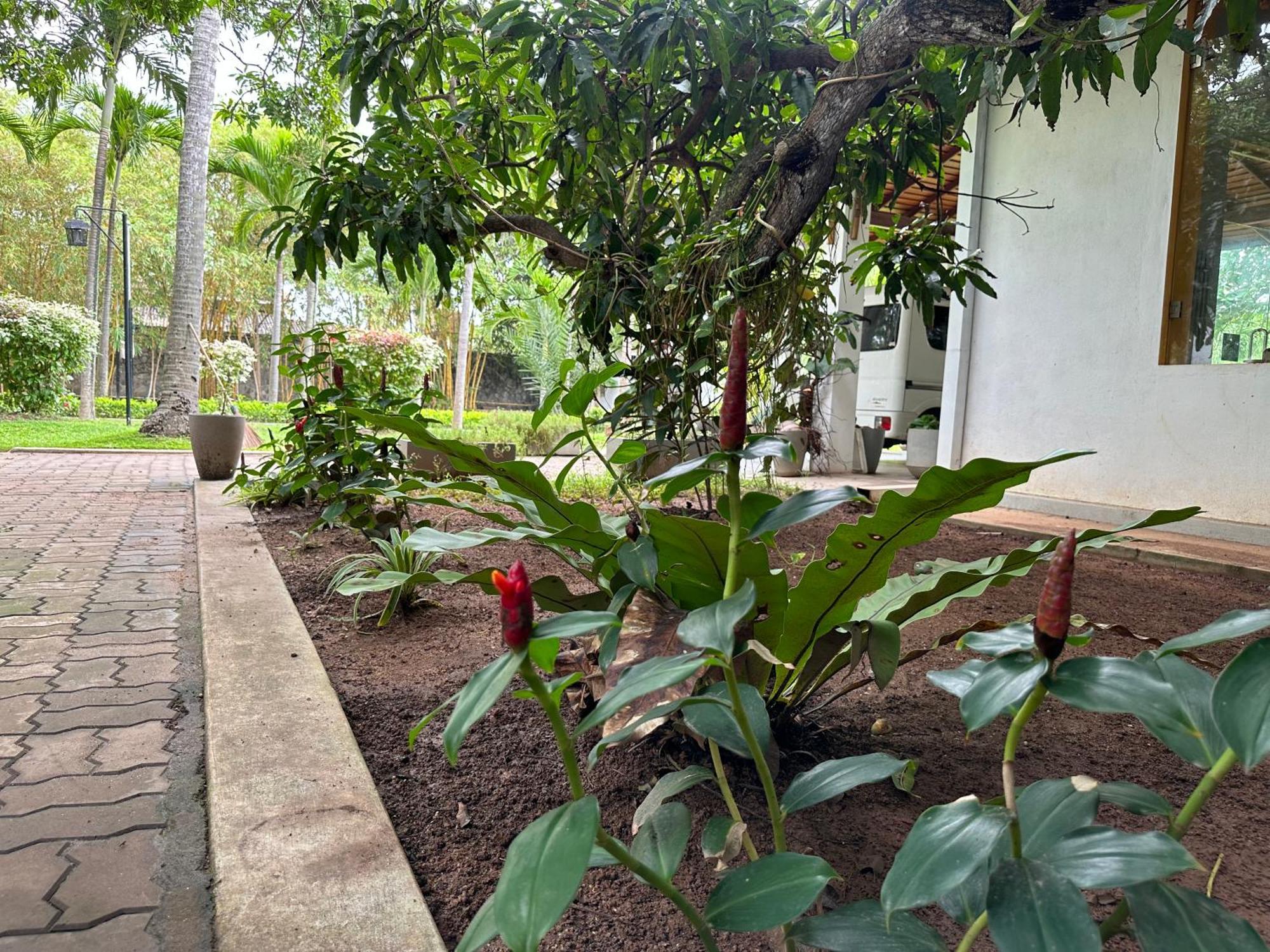 Amaluna Resort 3*