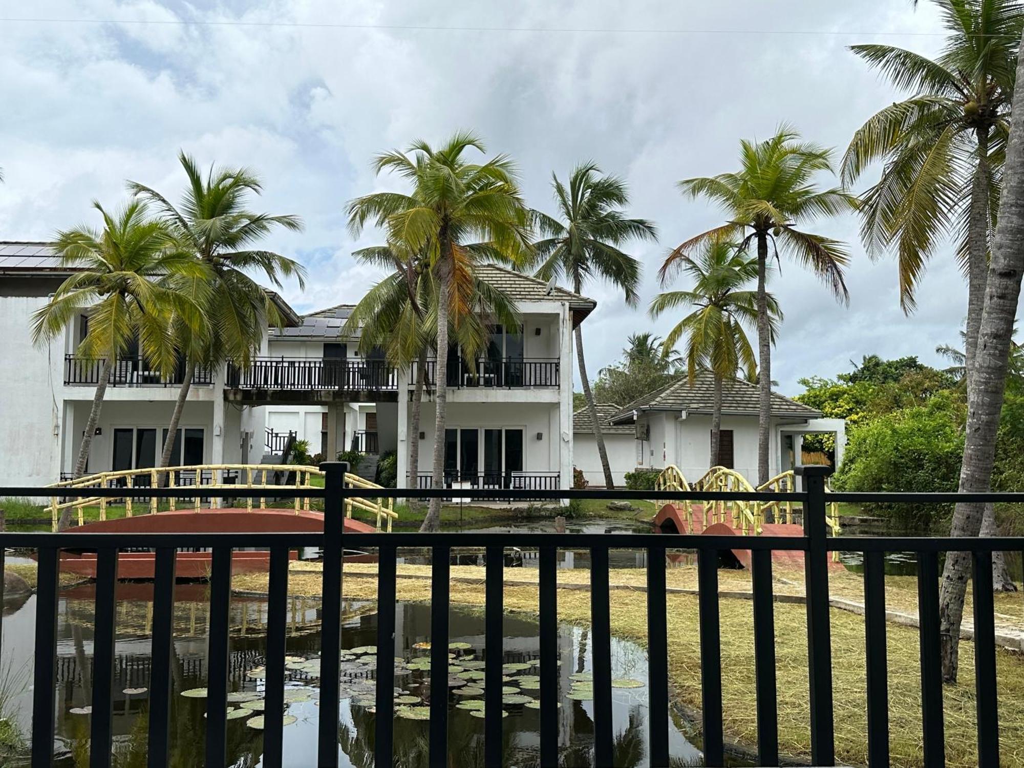 Amaluna Negombo
